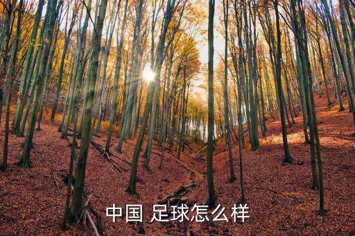 中國男子足球的評論