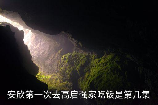 安欣第一次去高啟強(qiáng)家吃飯是第幾集
