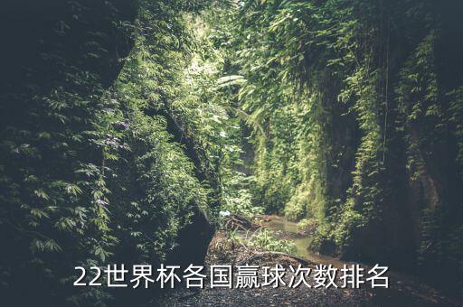 22世界杯各國贏球次數(shù)排名