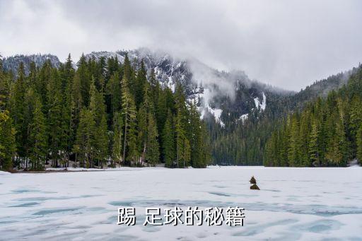 踢 足球的秘籍
