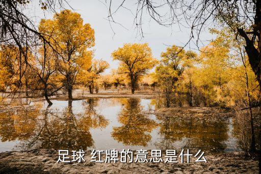  足球 紅牌的意思是什么