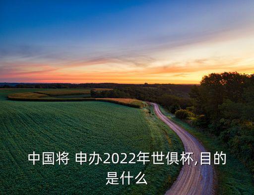 中國(guó)將 申辦2022年世俱杯,目的是什么