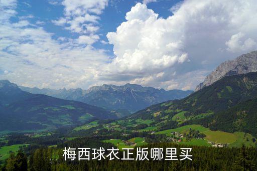 阿根廷足球訓(xùn)練棉服