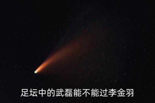 足壇中的武磊能不能過李金羽