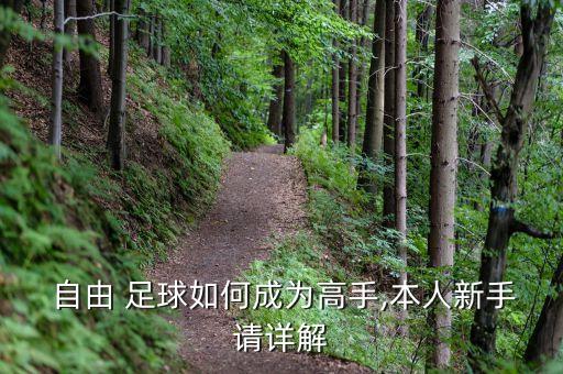  自由 足球如何成為高手,本人新手請(qǐng)?jiān)斀? class=