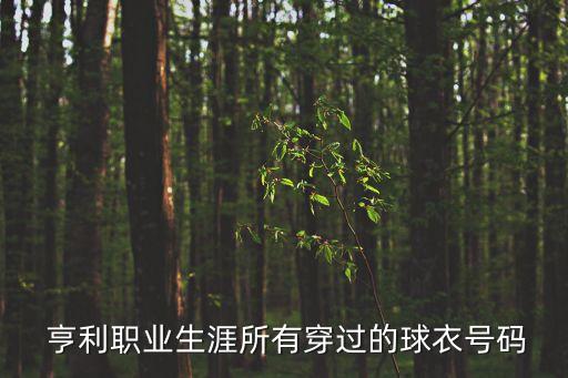  亨利職業(yè)生涯所有穿過的球衣號碼