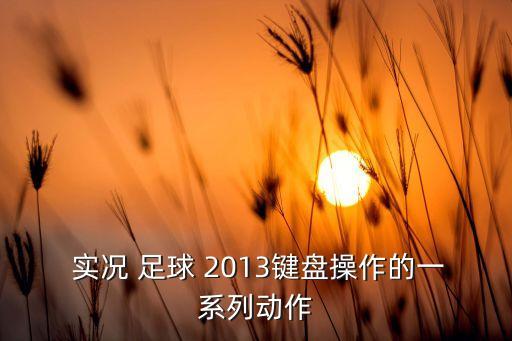  實(shí)況 足球 2013鍵盤操作的一系列動(dòng)作