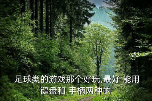  足球類的游戲那個(gè)好玩,最好 能用鍵盤(pán)和 手柄兩種的