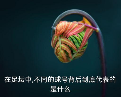 在足壇中,不同的球號背后到底代表的是什么