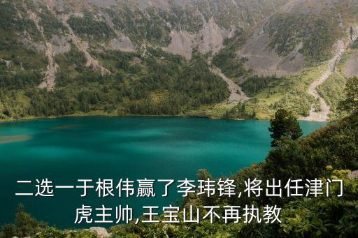天津足球李瑋峰,足球李瑋峰,妻子圖片