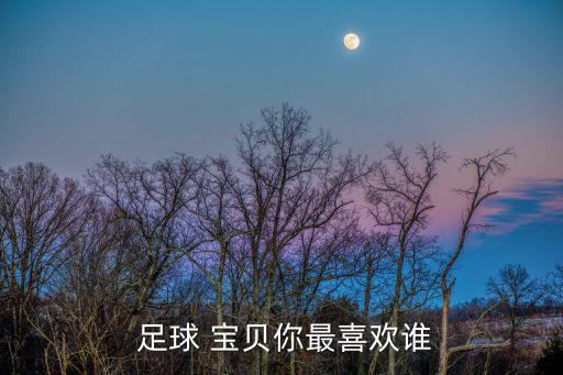  足球 寶貝你最喜歡誰