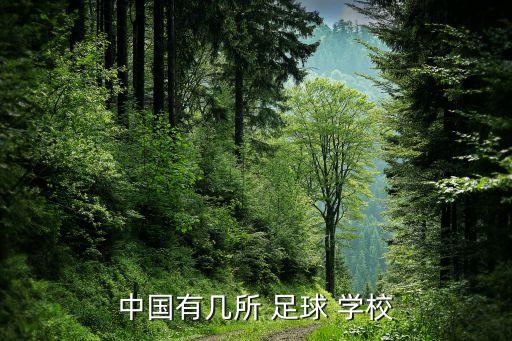 中國(guó)有幾所 足球 學(xué)校