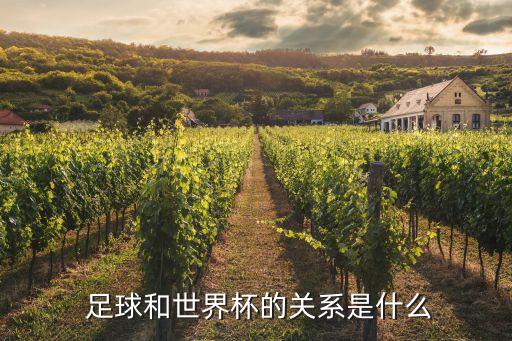  足球和世界杯的關(guān)系是什么