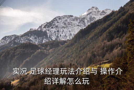  實(shí)況 足球經(jīng)理玩法介紹與 操作介紹詳解怎么玩