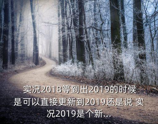  實(shí)況2018等到出2019的時(shí)候是可以直接更新到2019還是說 實(shí)況2019是個(gè)新...