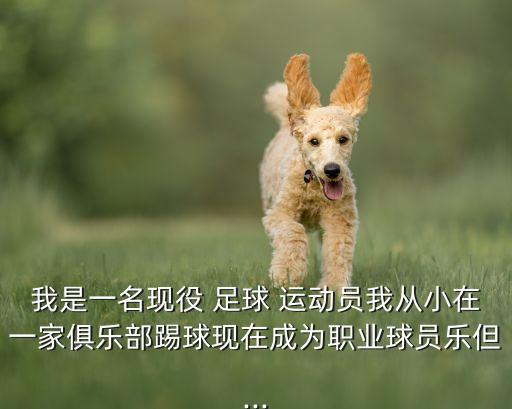 足球運(yùn)動(dòng)員培養(yǎng)合同書