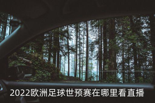 世界足球賽在哪看,2022年世界足球賽事