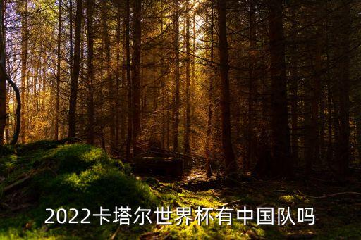 2022卡塔爾世界杯有中國隊嗎