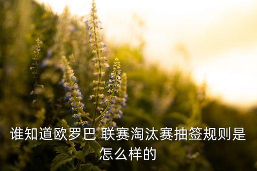 誰(shuí)知道歐羅巴 聯(lián)賽淘汰賽抽簽規(guī)則是怎么樣的