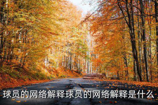 球員的網(wǎng)絡(luò)解釋球員的網(wǎng)絡(luò)解釋是什么