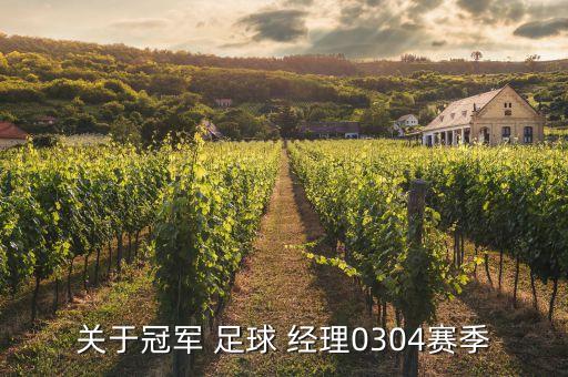 關(guān)于冠軍 足球 經(jīng)理0304賽季