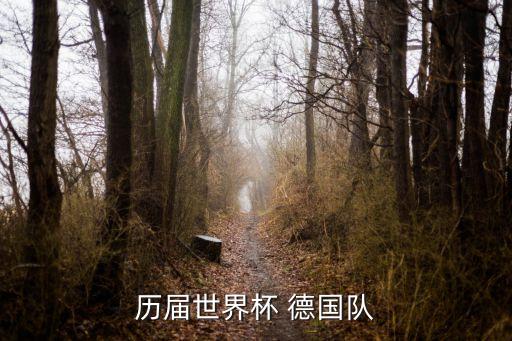 歷屆世界杯 德國隊