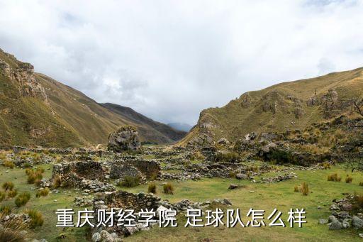 重慶財(cái)經(jīng)學(xué)院 足球隊(duì)怎么樣