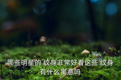 哪些明星的 紋身非常好看這些 紋身有什么寓意嗎