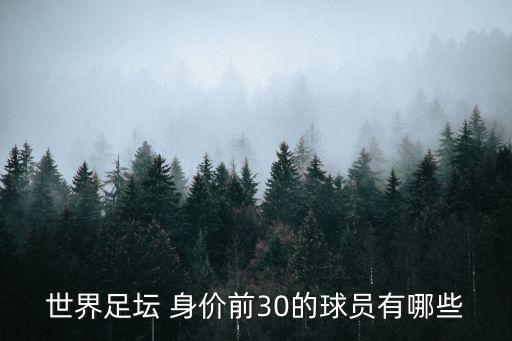 世界足壇 身價前30的球員有哪些