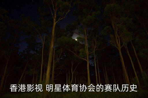 香港影視 明星體育協(xié)會(huì)的賽隊(duì)歷史