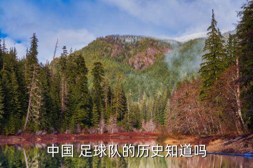 中國足球的發(fā)展歷程
