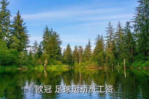 歐冠 足球運動員工資
