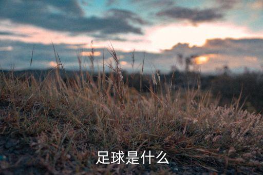 足球運動的定義,簡述足球運動的定義和特點