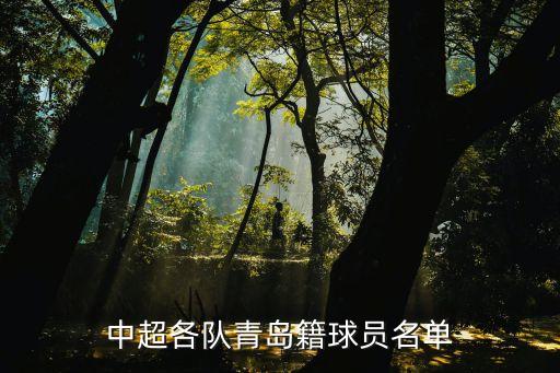 中超各隊(duì)青島籍球員名單