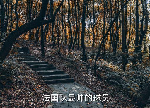  法國隊最帥的球員