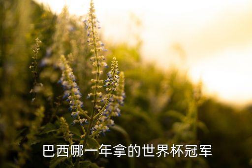  巴西哪一年拿的世界杯冠軍