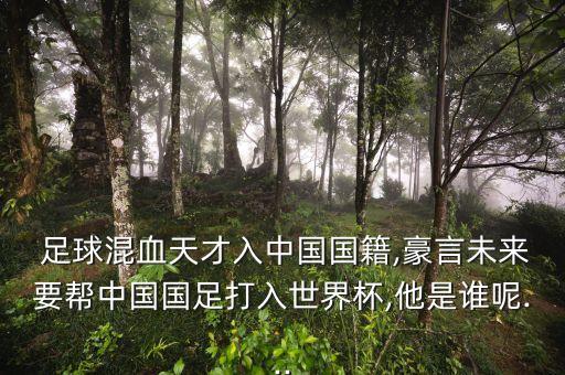 足球運動員高潮,有關足球的音樂,開頭就是高潮