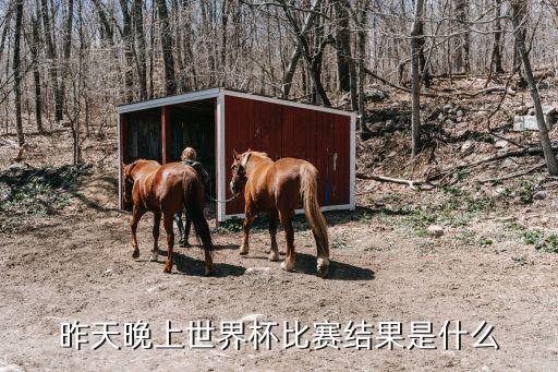 昨天晚上世界杯比賽結果是什么