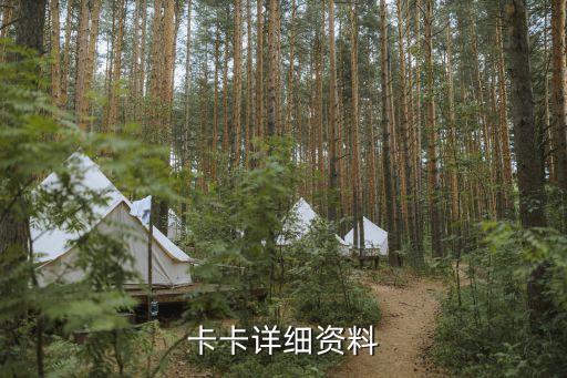卡卡詳細(xì)資料