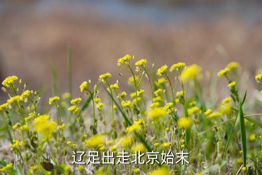 遼足出走北京始末