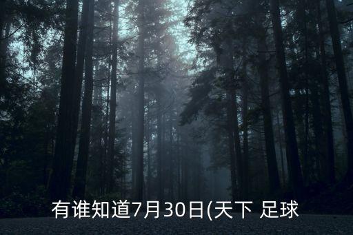 有誰知道7月30日(天下 足球