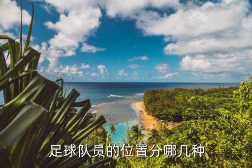 足球隊(duì)人員怎么安排,克羅地亞足球隊(duì)人員