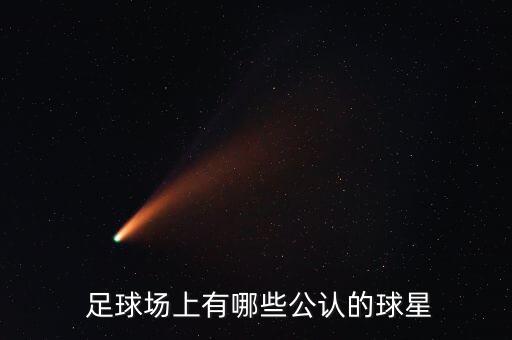  足球場上有哪些公認(rèn)的球星