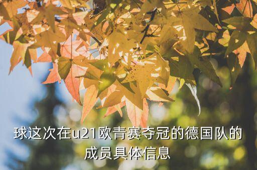 球這次在u21歐青賽奪冠的德國隊的成員具體信息