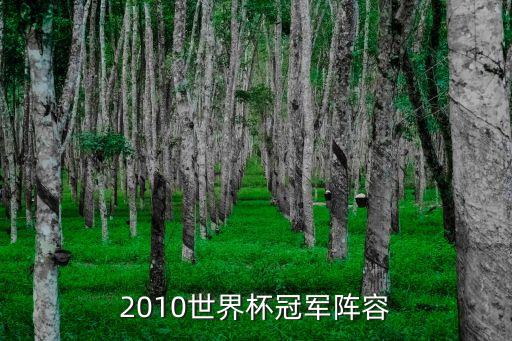 2010世界杯冠軍陣容
