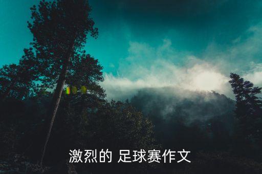 7比2足球