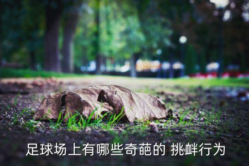 足球挑釁慶祝動(dòng)作,足球侮辱人的慶祝動(dòng)作