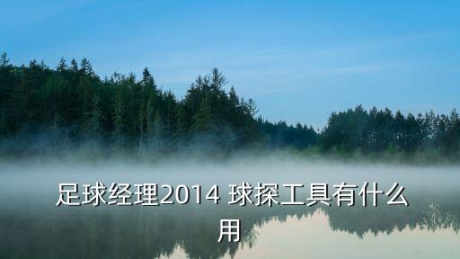足球球探助手,球探足球app下載