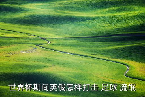 世界杯期間英俄怎樣打擊 足球 流氓