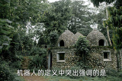 為什么機(jī)器人會(huì)踢足球,機(jī)器人踢足球的日本動(dòng)漫